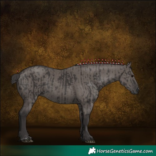 Horse Color:Smoky Black  and Smoky Grullo 