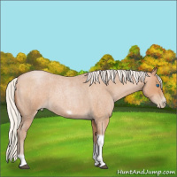 Horse Color:Silver Blue Roan Pearl Tobiano Frame 
