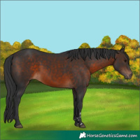 Horse Color:Brown 