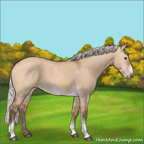 Horse Color:Silver Bay Dun Sabino Tobiano Frame Rabicano