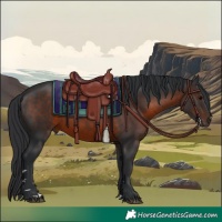 Horse Color:Brown 