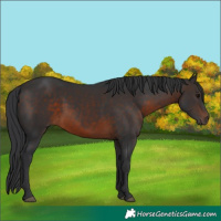 Horse Color:Brown 