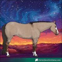 Horse Color:Liver Red Dun Rabicano 