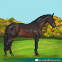 Horse Color:Brown 