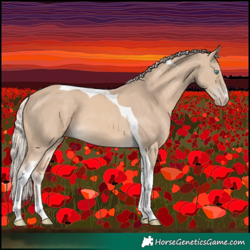 Horse Color:Cremello Tobiano 