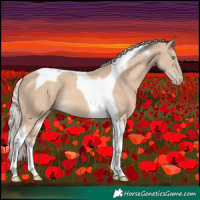 Horse Color:Cremello Tobiano 