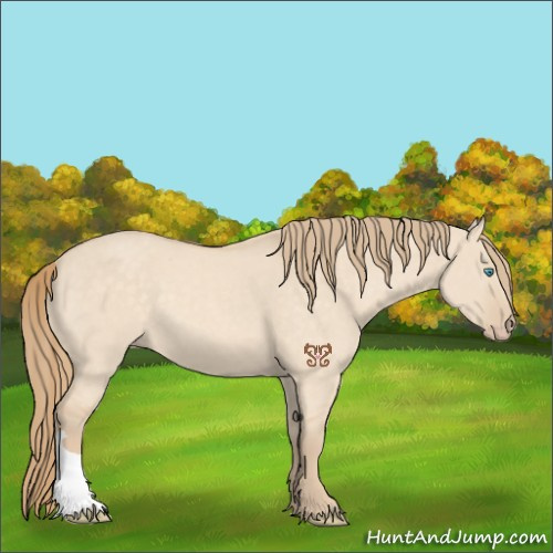 Horse Color:Perlino Dun