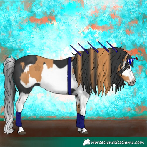 Horse Color:Chestnut Splash Frame  and Black Splash Frame 