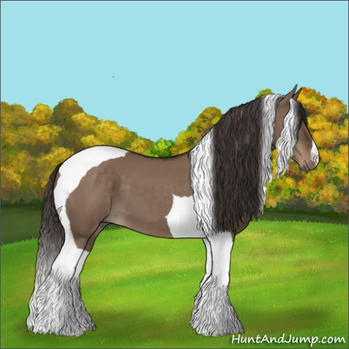 Horse Color:Liver Red Dun Tobiano