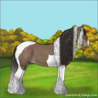 Horse Color:Liver Red Dun Tobiano