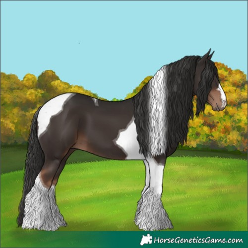 Horse Color:Liver Chestnut Tobiano