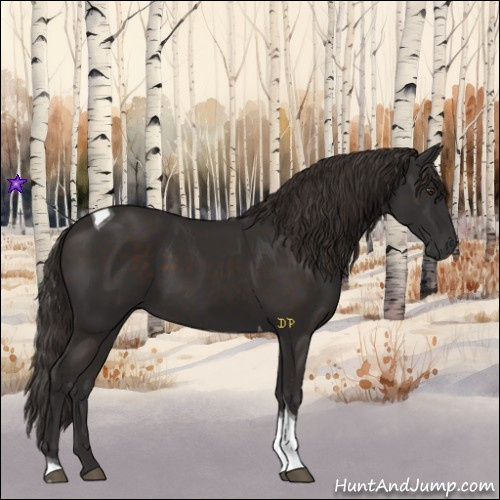 Horse Color:Liver Chestnut Tobiano 