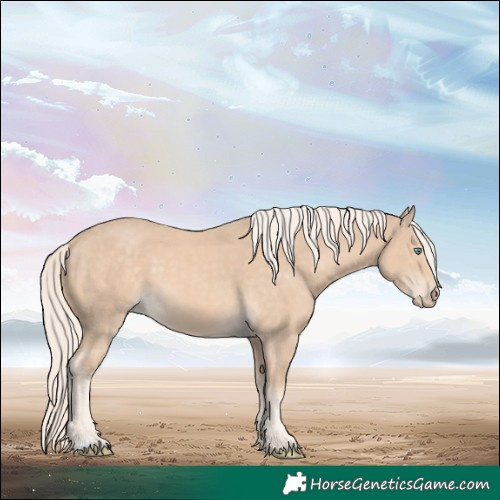 Horse Color:Cremello 