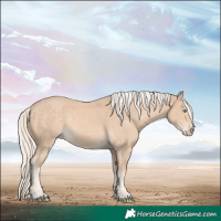 Horse Color:Cremello 