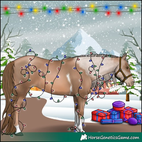 Horse Color:Liver Chestnut Pearl Tobiano