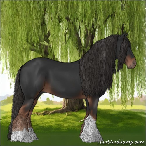 Horse Color:Liver Chestnut Tobiano 