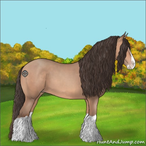 Horse Color:Amber Champagne Splash 