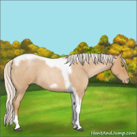 Horse Color:Silver Blue Roan Pearl Tobiano Frame 