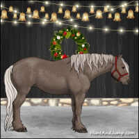 Horse Color:Silver Black 
