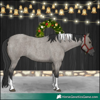 Horse Color:Grullo Roan Tobiano