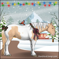 Horse Color:Gold Champagne Tobiano
