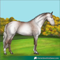 Horse Color:Gray Silver Black Pearl Tobiano 