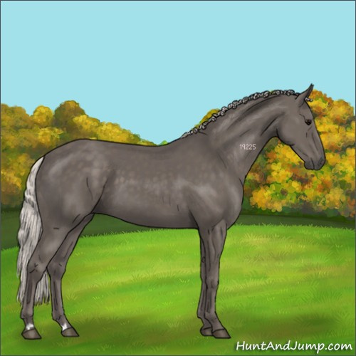Horse Color:Silver Black 