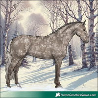 Horse Color:Silver Grullo 