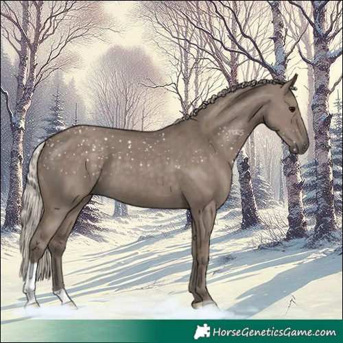 Horse Color:Silver Grullo 