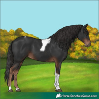 Horse Color:Liver Chestnut Tobiano 