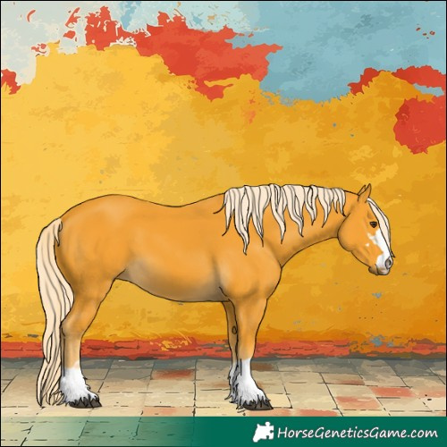 Horse Color:Palomino