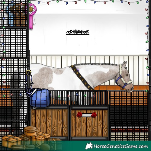 Horse Color:Liver Red Dun Roan Tobiano 