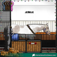 Horse Color:Liver Red Dun Roan Tobiano 