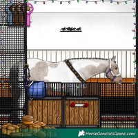 Horse Color:Liver Red Dun Roan Tobiano