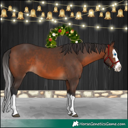Horse Color:Brown Splash