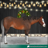 Horse Color:Brown Splash 