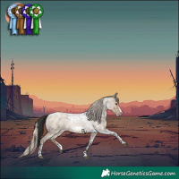 Horse Color:Liver Red Roan Splash Frame  and Chocolate Palomino Roan Pearl Splash Tobiano Frame 