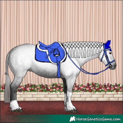 Horse Color:Gray Liver Chestnut Tobiano 