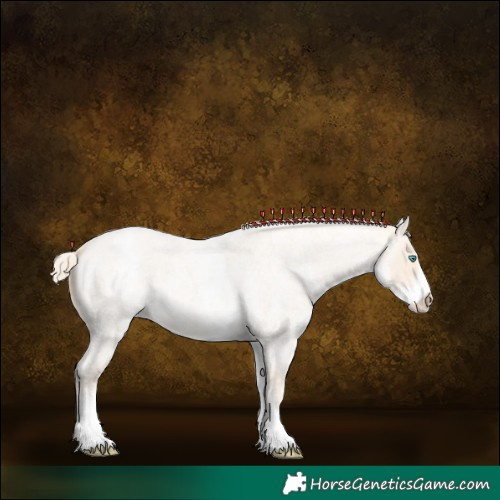 Horse Color:White Spotted Perlino Roan