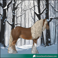 Horse Color:Chocolate Palomino Tobiano 