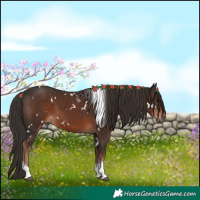 Horse Color:White Spotted Liver Chestnut Tobiano 