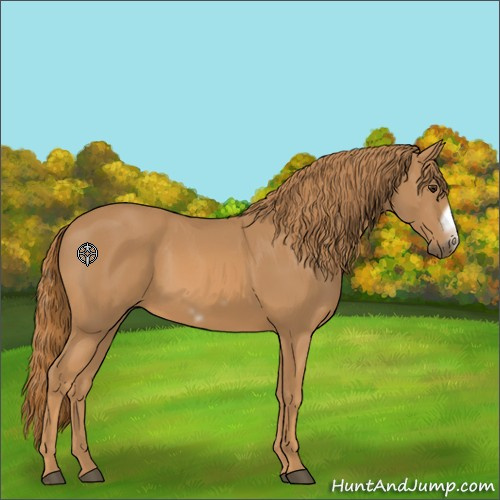Horse Color:Chestnut Frame 