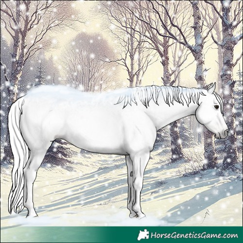 Horse Color:Gray Classic Champagne Tobiano 