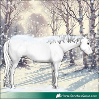 Horse Color:Gray Classic Champagne Tobiano 