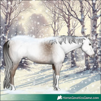 Horse Color:Gray Classic Champagne Tobiano 