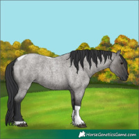 Horse Color:Grullo Roan Tobiano 