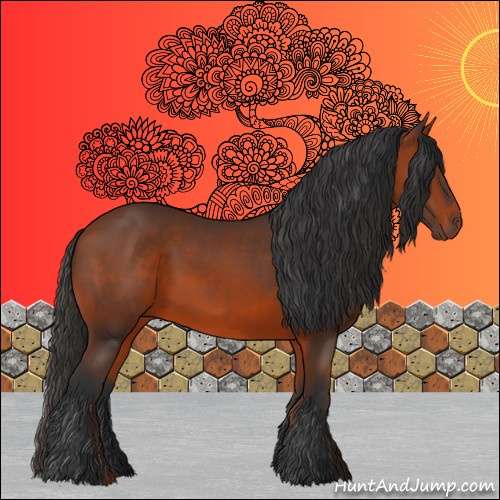 Horse Color:Bay 