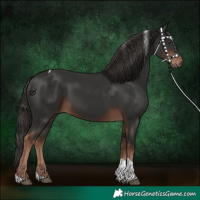Horse Color:Liver Chestnut Tobiano 