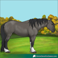 Horse Color:Grullo Tobiano 