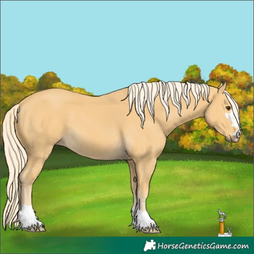 Horse Color:Palomino